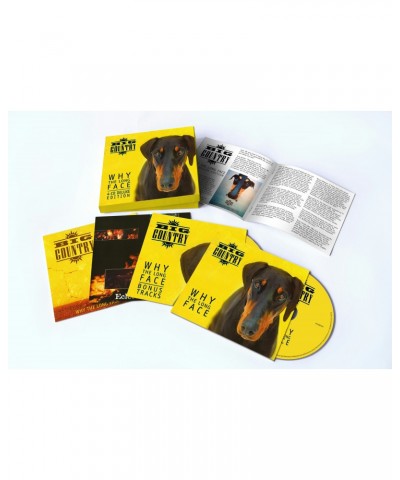 Big Country WHY THE LONG FACE CD $7.35 CD