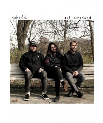 Sebadoh Act Surprised Vinyl Record $5.22 Vinyl