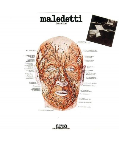 Area Maledetti Vinyl Record $16.10 Vinyl